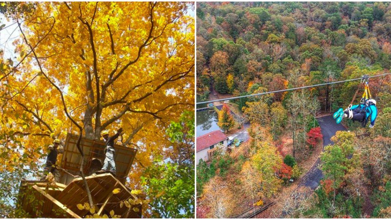 Zipline In Georgia Historic Banning Mills Offers Fantastic Fall Foliage Views From Above