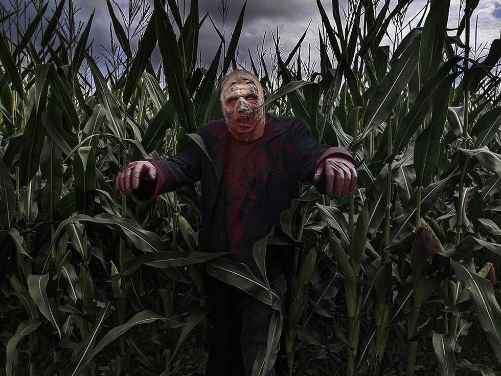 Zombie in a cornfield at night.