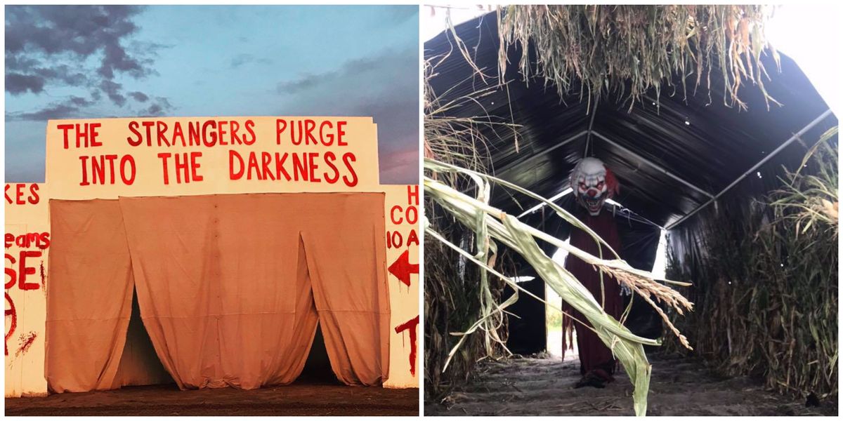 Zombie Paintball In Florida At Farmer Mike's U Pick - Narcity